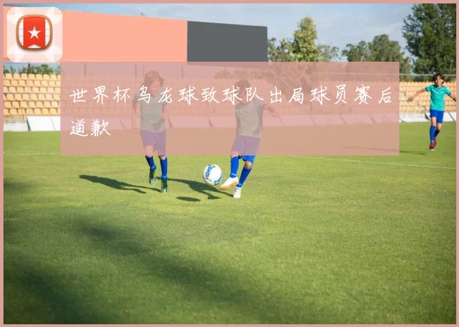 世界杯乌龙球致球队出局球员赛后道歉