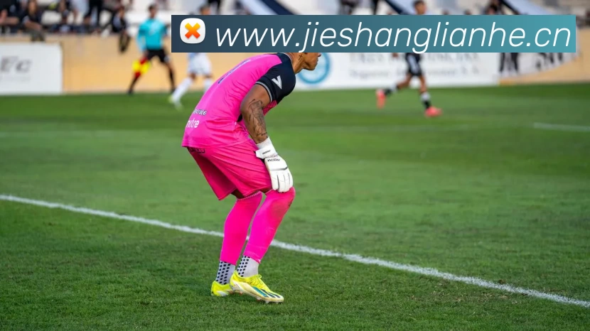 爱游戏官方网站 - 爱游戏(中国)品牌故事